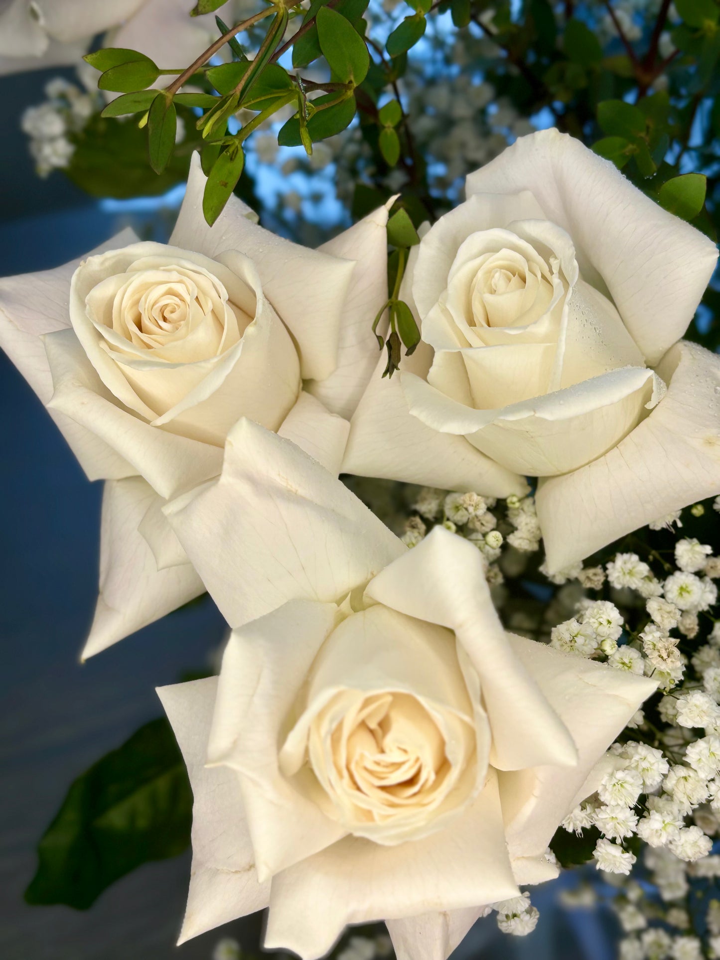 White roses Bouquet