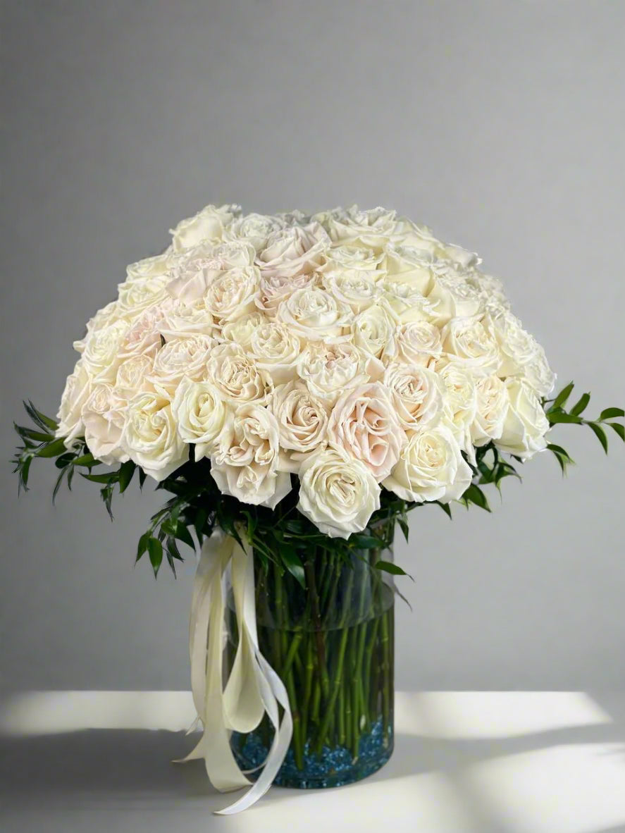 100 White Roses
