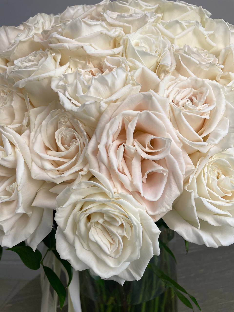 100 White Roses