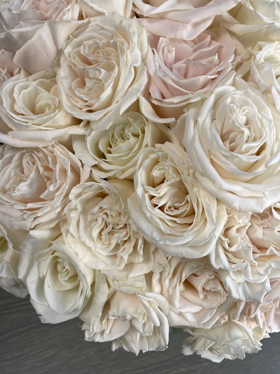 100 White Roses