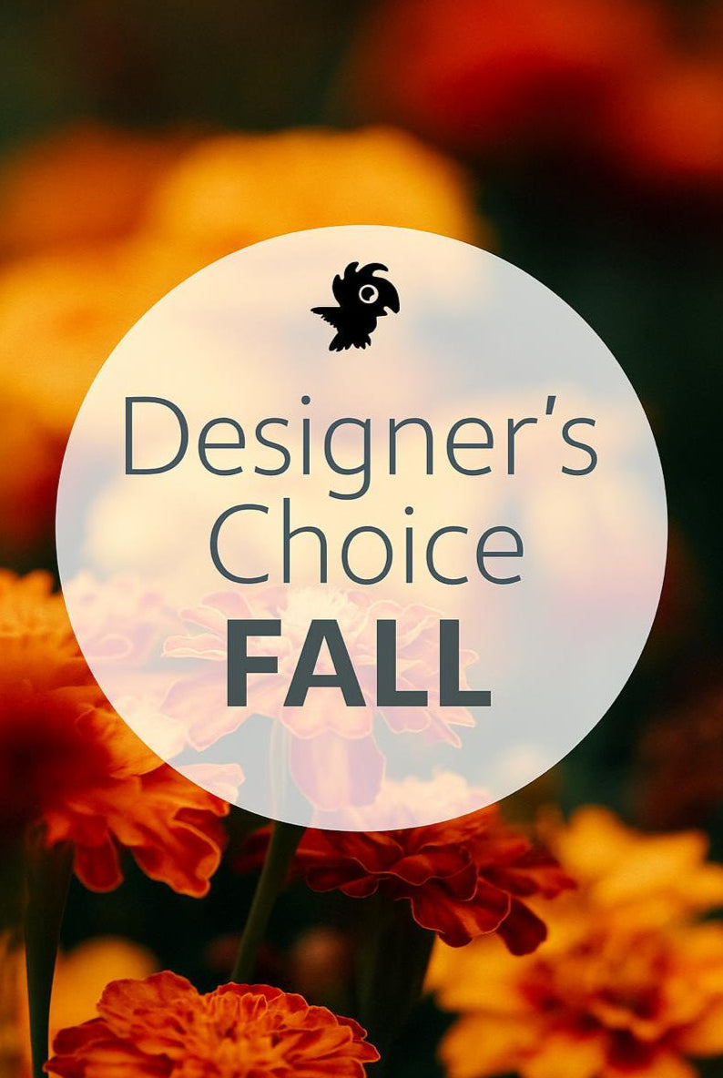 Designer Choice "FALL"