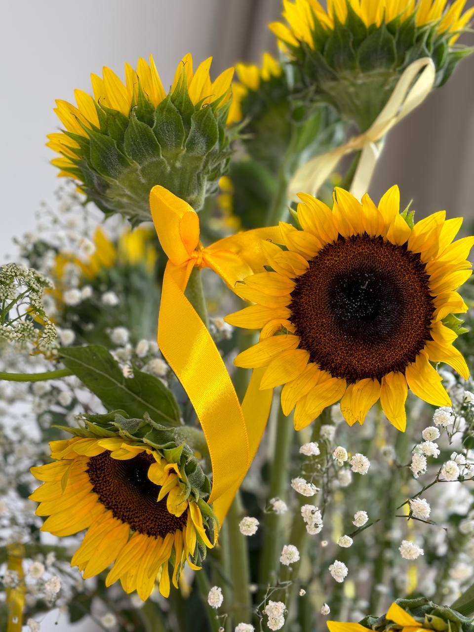 Sunflowers