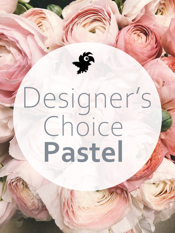 Designer Choice "Pastel"