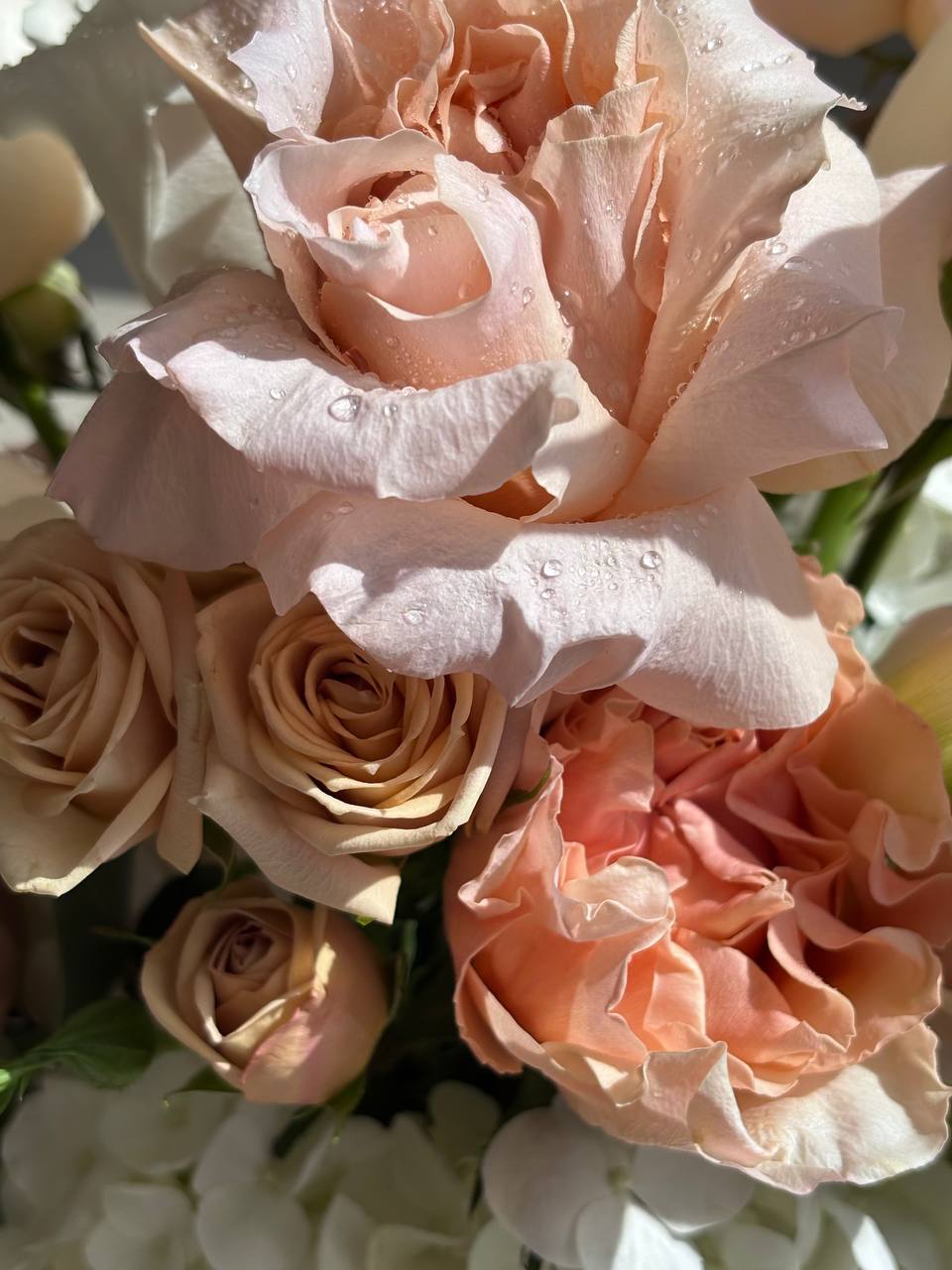 Flower box “Caitlin”