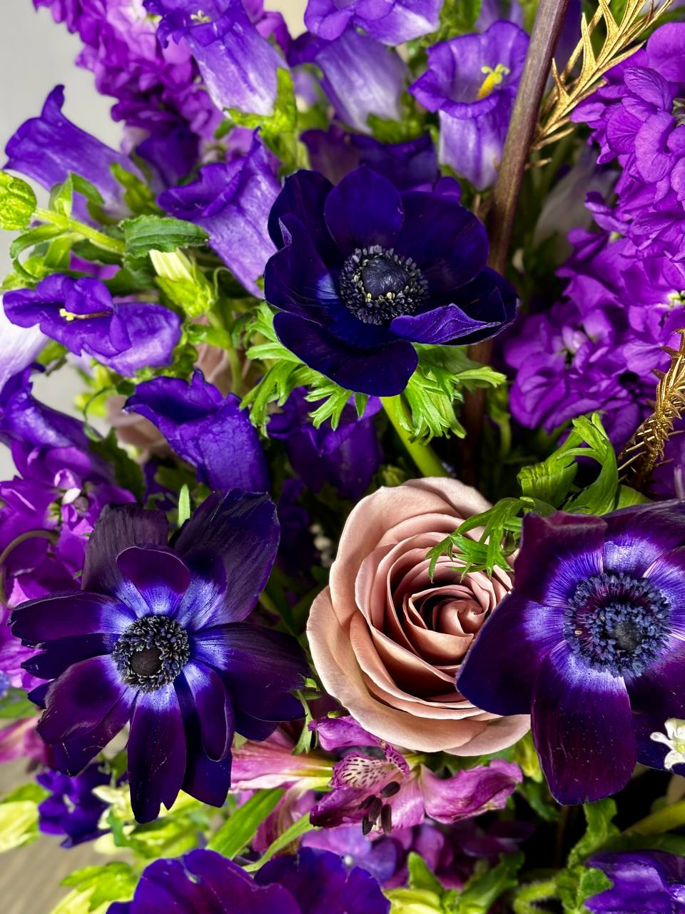 Obsidian Bloom