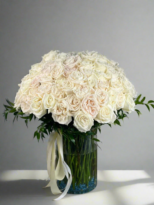 100 White Roses