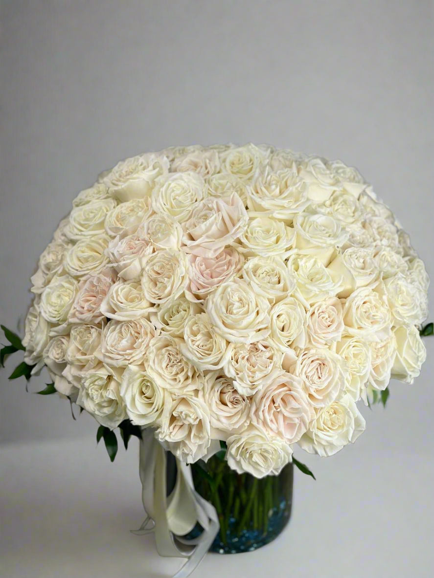 100 White Roses