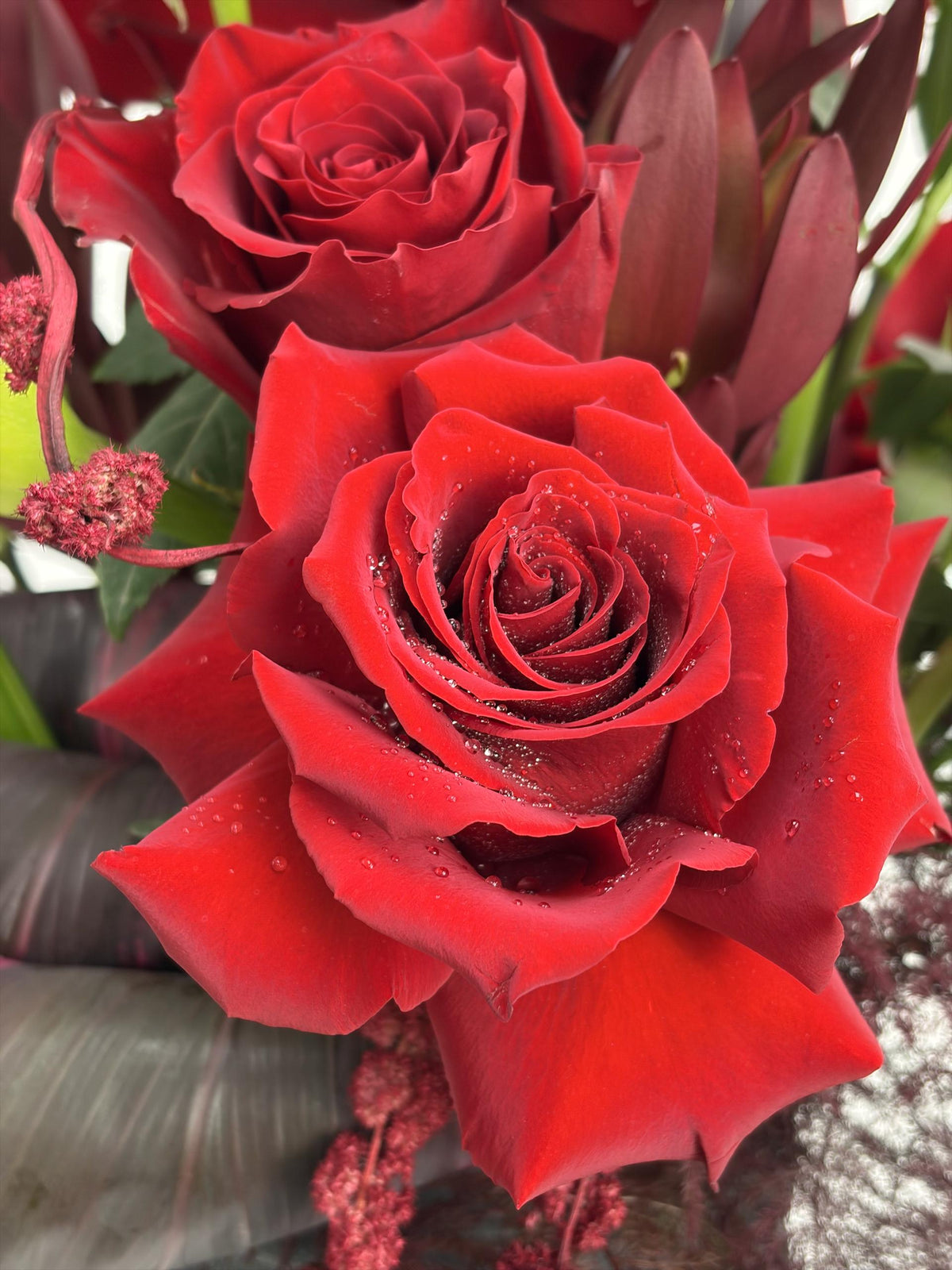 Velvet Noir